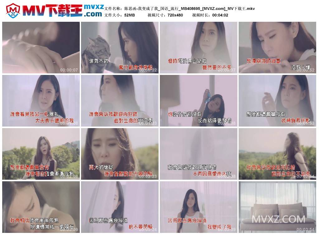 陈思函-我变成了我_国语_流行_MB408695